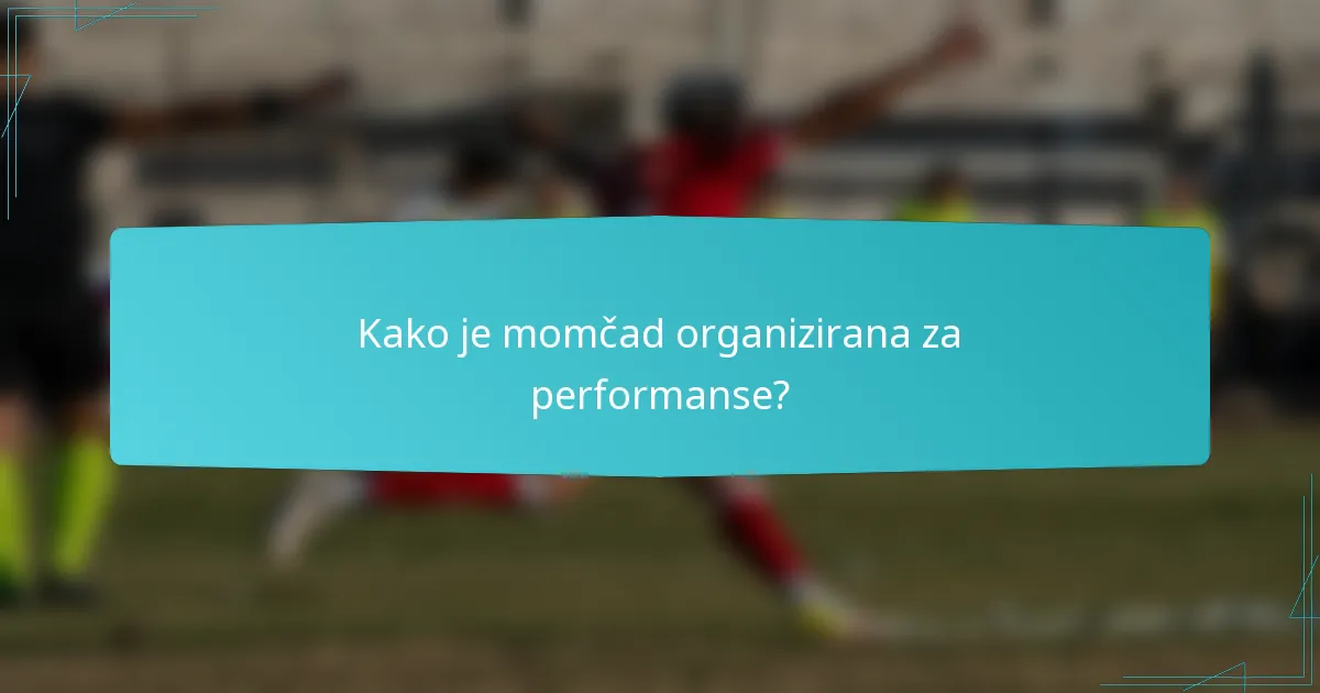 Kako je momčad organizirana za performanse?