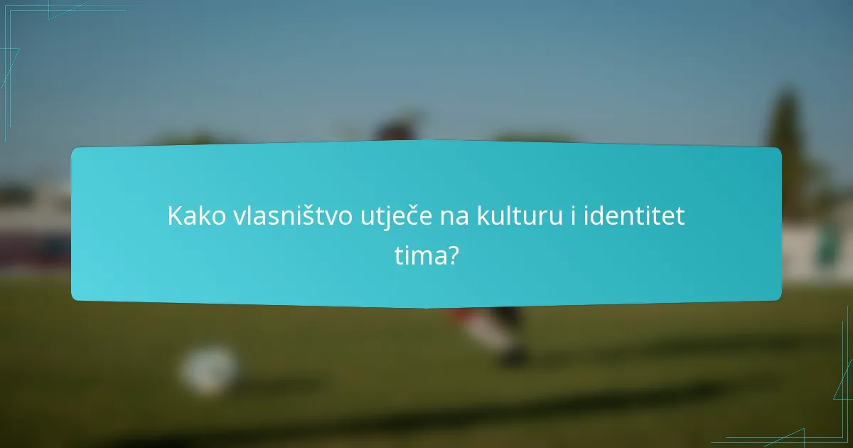 Kako vlasništvo utječe na kulturu i identitet tima?
